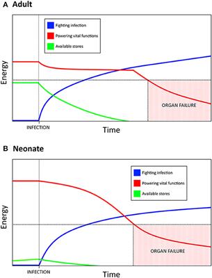 Energy Demands of Early Life Drive a Disease Tolerant Phenotype and Dictate Outcome in Neonatal Bacterial Sepsis